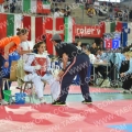 Taekwondo_AustrianOpen2012_A0270