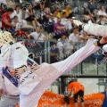 Taekwondo_AustrianOpen2012_B6367