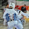 Taekwondo_AustrianOpen2013_A0246