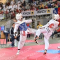 Taekwondo_AustrianOpen2013_A0457