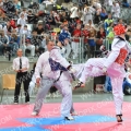 Taekwondo_AustrianOpen_B0402