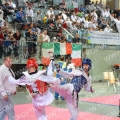 Taekwondo_AustrianOpen_B0442