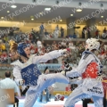 Taekwondo_AustrianOpen2014_B0249