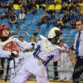 Taekwondo_BelgiumOpen2012_A0357