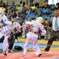 Taekwondo_BelgiumOpen2013_A0463