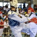 Taekwondo_BelgiumOpen2013_A0531