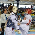 Taekwondo_BelgiumOpen2013_B0027