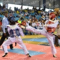 Taekwondo_BelgiumOpen2013_B0088