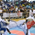 Taekwondo_BelgiumOpen2013_B0314