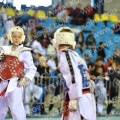 Taekwondo_BelgiumOpen2013_B0530