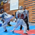 Taekwondo_GermanOpen2013_A0019
