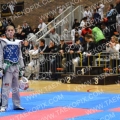 Taekwondo_IndoorBrussel2012_A0003