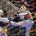 Taekwondo_IndoorBrussel2012_A0321