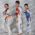 Taekwondo_Keumgang2015_A0081