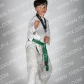Taekwondo_Keumgang2015_A0093