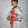 Taekwondo_Keumgang2015_A0107