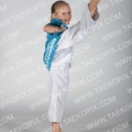 Taekwondo_Keumgang2015_A0124