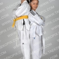 Taekwondo_Keumgang2015_A0159