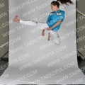 Taekwondo_Keumgang2015_A0337
