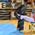 Taekwondo_NK2013_A0595