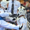 Taekwondo_OpenZuid2012_A4338